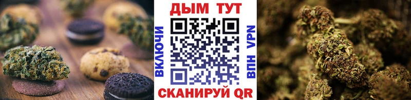 дарнет шоп  Чернушка  Cannafood конопля 