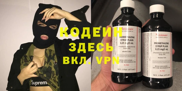 дурь Гусев