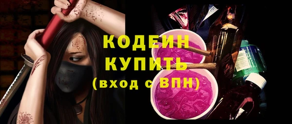 дурь Гусев