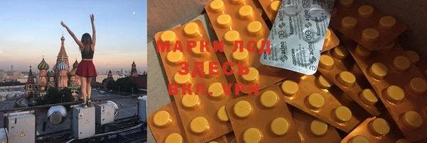 дурь Гусев