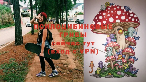 ешки Гусиноозёрск