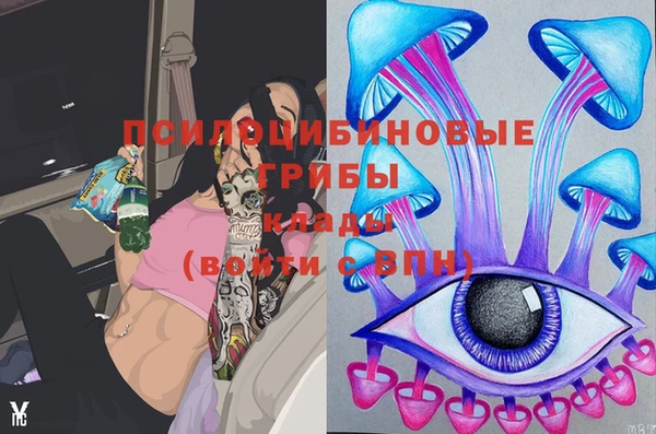 ешки Гусиноозёрск