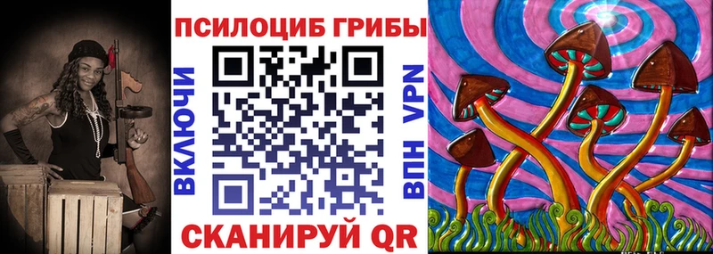 купить  цена  Чернушка  мориарти Telegram  Псилоцибиновые грибы Psilocybe 